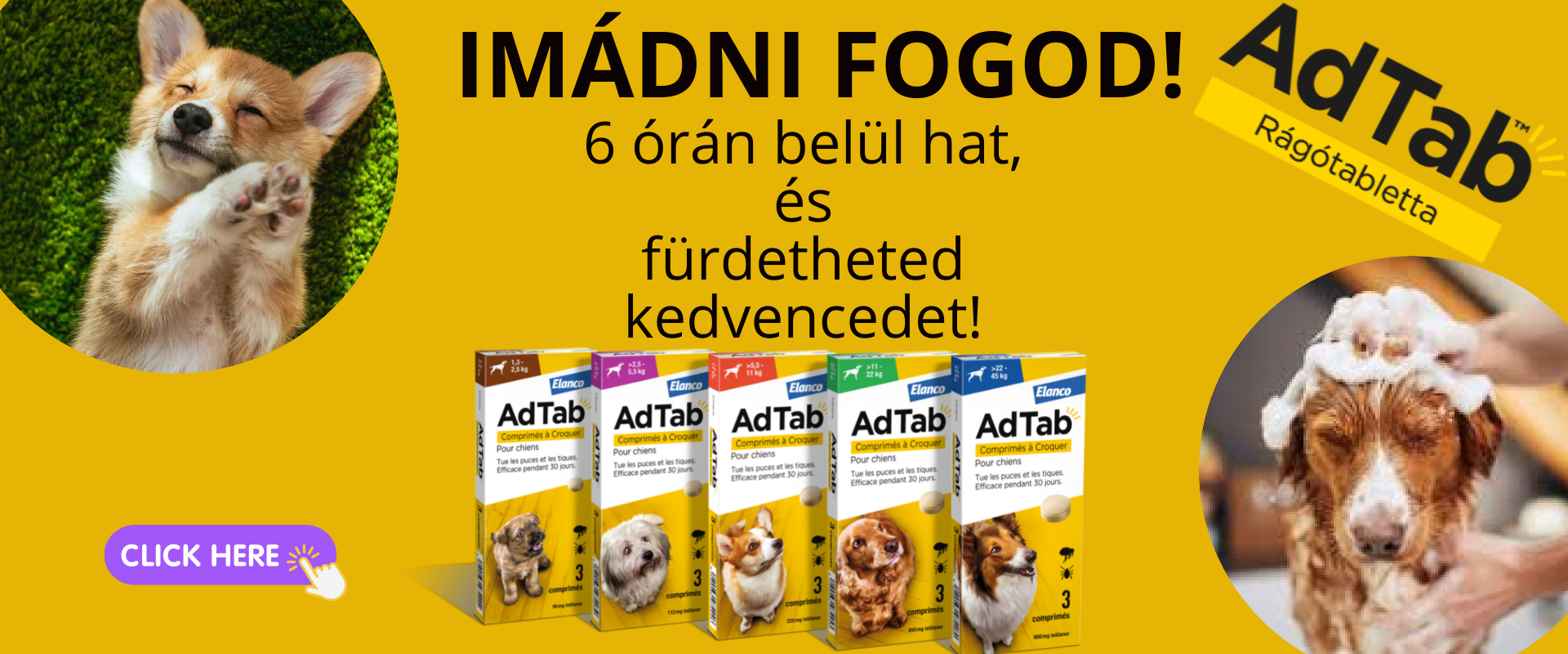 Állateledel webshop petzoo