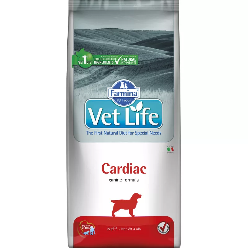 Vet
