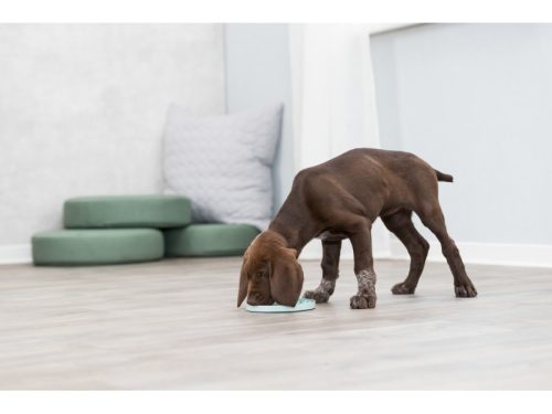 Trixie Játék Tábla Paszta Adagoláshoz Junior 15cm