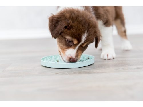 Trixie Játék Tábla Paszta Adagoláshoz Junior 15cm