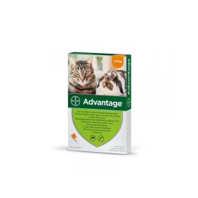   Advantage rácsepegteto oldat kistestu macskáknak és nyulaknak A.U.V. 1 x 0,4 ml