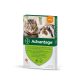 Advantage 40 macska/nyúl 0,4 ml 4 kg alatt 4x