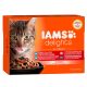 Iams Cat Delights SEA IN GRAVY multipack Szószban 12x85g