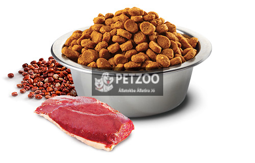 N&D Dog Quinoa Skin&coat kacsa&kókusz adult mini 800g