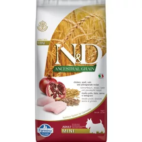   N&D Dog Ancestral Grain Adult Mini 7kg -Felnőtt eledel - Tönköly, zab, csirkehús, gránátalma 