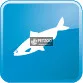 Vet Life Natural Diet Dog Hypoallergenic Fish&Potato 2kg