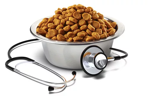 Vet Life Natural Diet Cat Struvite 2kg+2*85g konzerv csomag